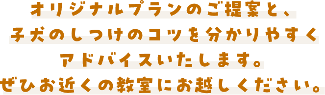 オリジナルプランのご提案と、子犬のしつけコツを分かりやすくアドバイスいたします。ぜひお近くの教室に起こしください。