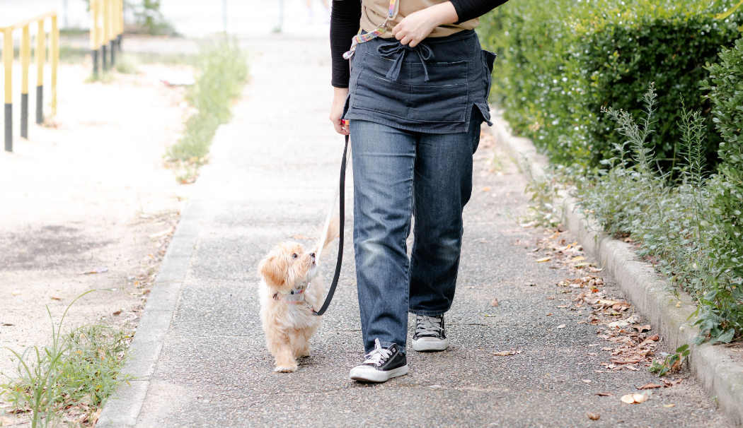 キャナップが考える犬のしつけ