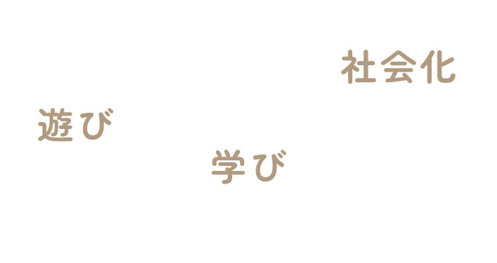 遊び・学び・社会化