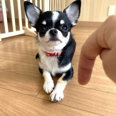 コミュニケーションについて