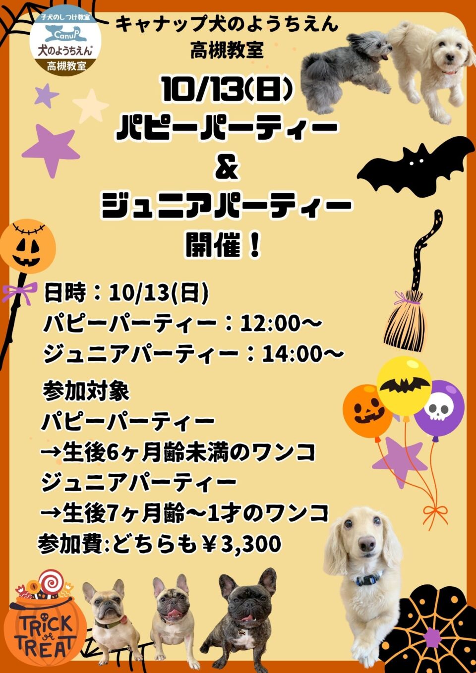 10月パピーパーティー＆ジュニアパーティーのご案内★犬のようちえん高槻教室