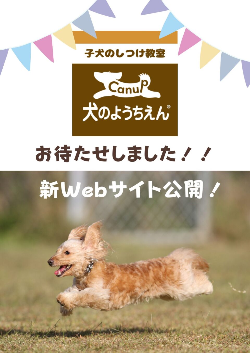 キャナップ犬のようちえんの新Webサイトを公開しました