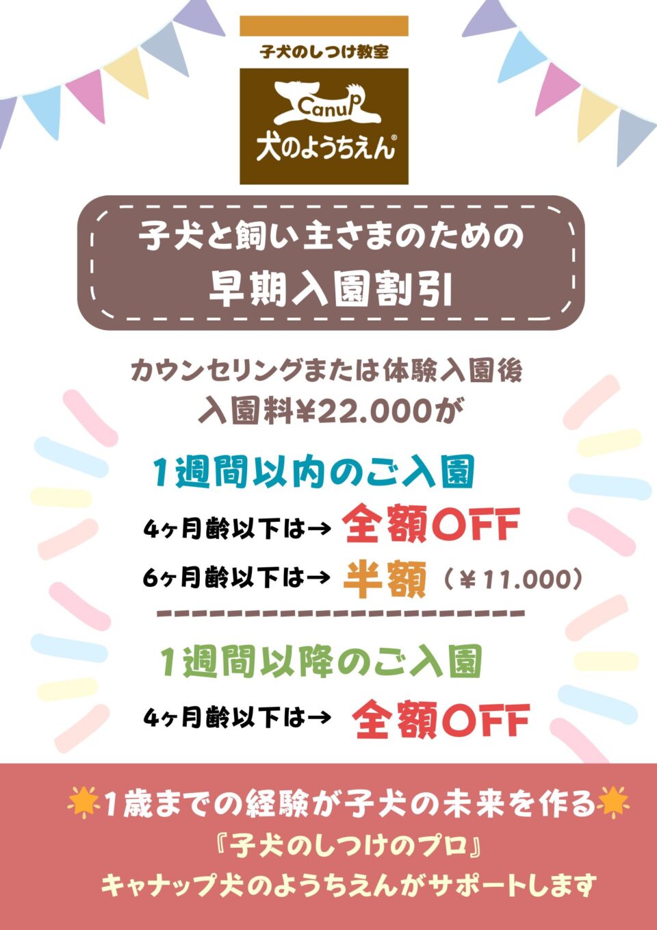 子犬と飼い主さまのための早期入園割引🌟キャナップ犬のようちえん