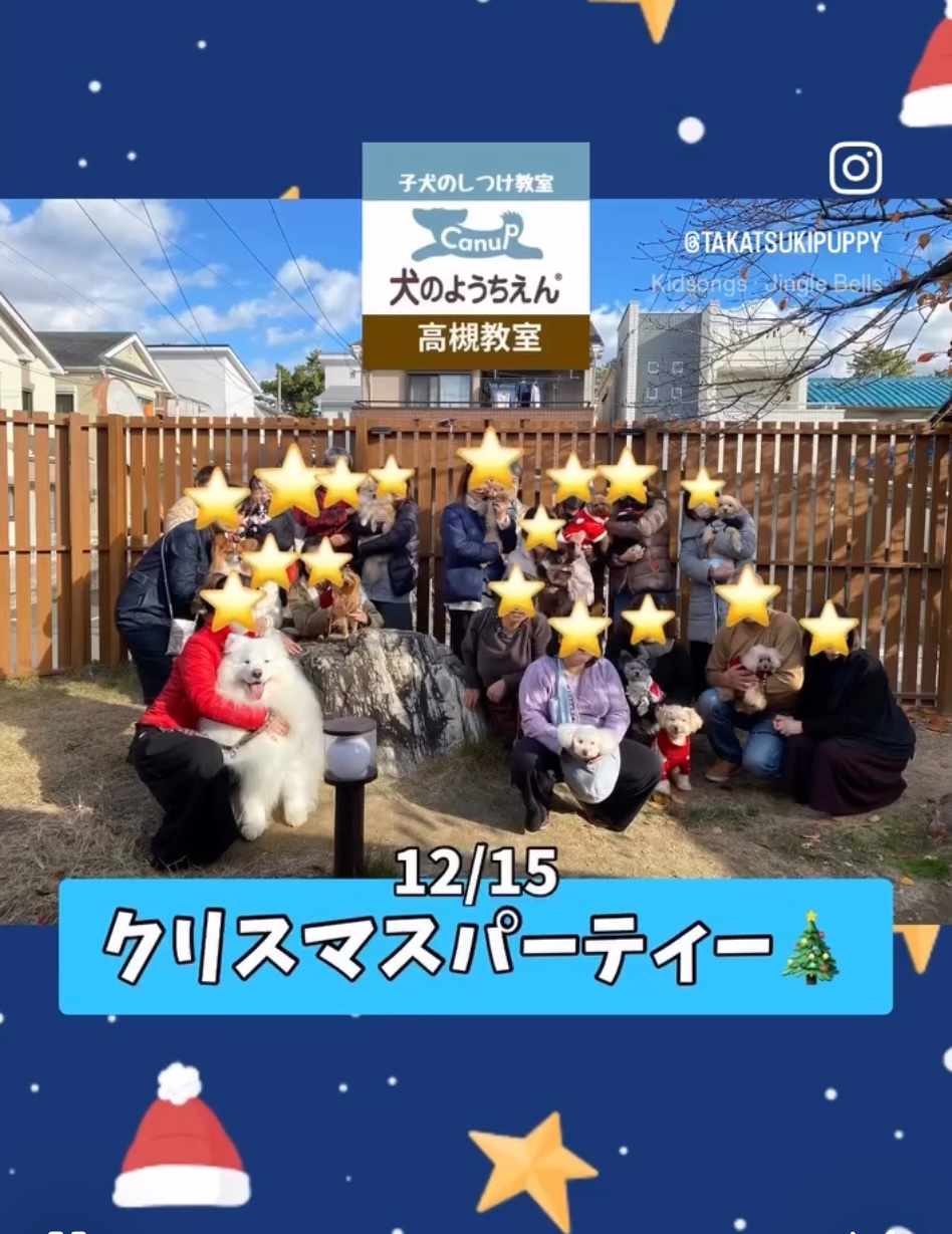 2024年最後のイベント✨クリスマスパーティー🎄♬キャナップ犬のようちえん高槻教室