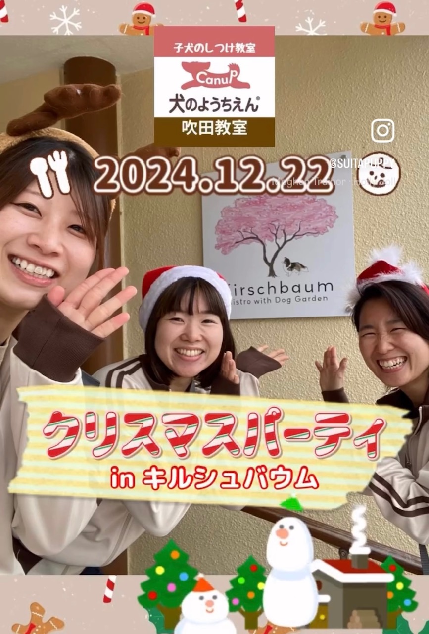 通園生ワンコ＆飼い主さまと🎄クリスマスパーティー🎅🌟キャナップ犬のようちえん吹田教室