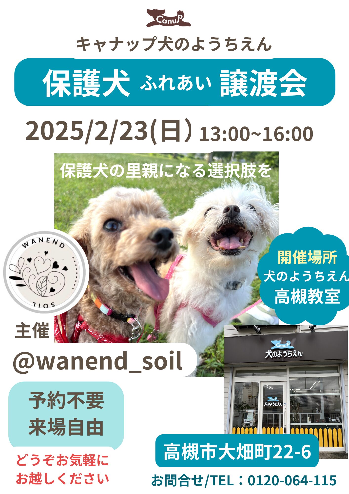 キャナップ犬のようちえん高槻教室で 『保護犬ふれあい譲渡会』🐶開催