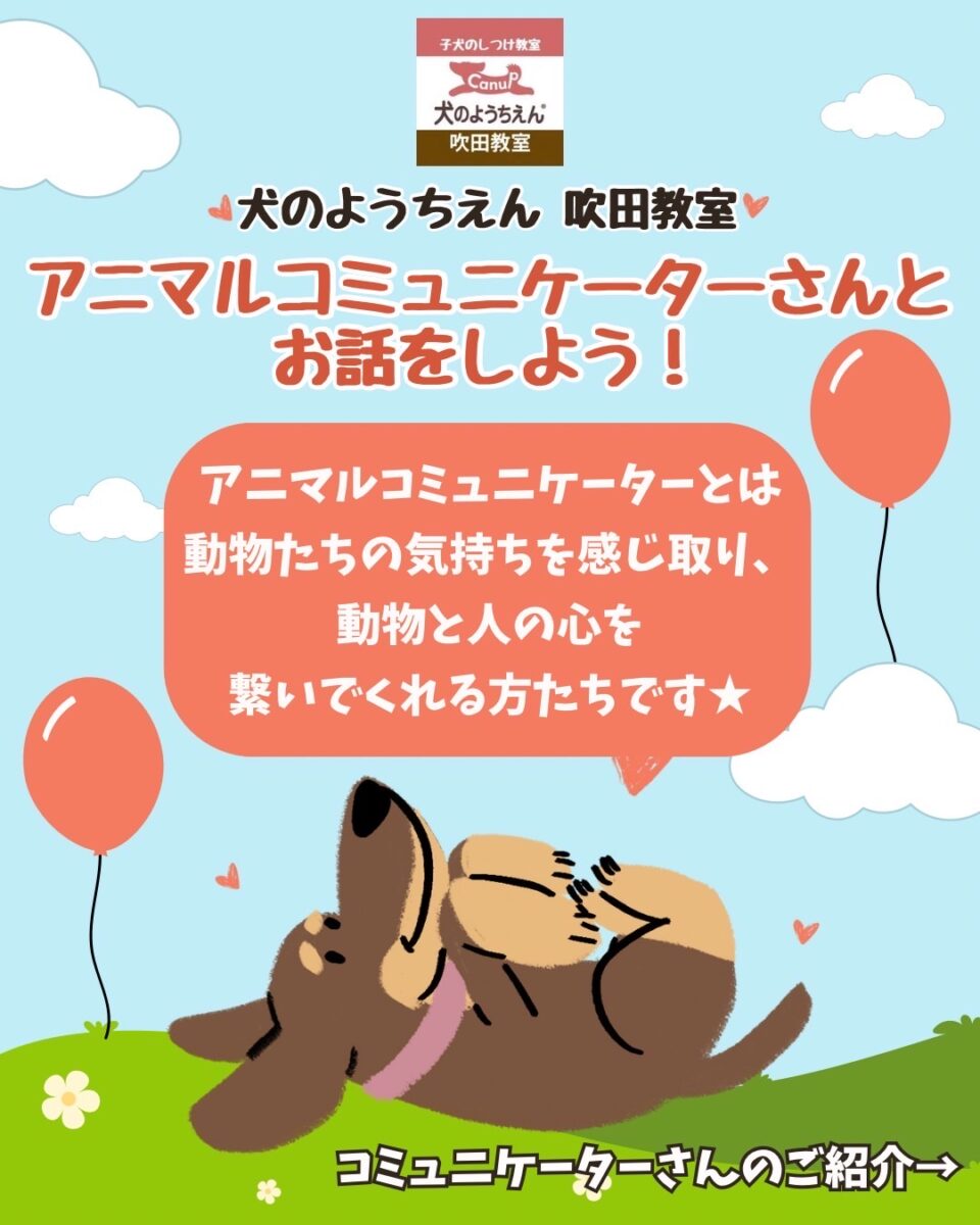 アニマルコミュニケーション💕コラボイベント開催予定⭐キャナップ犬のようちえん吹田教室