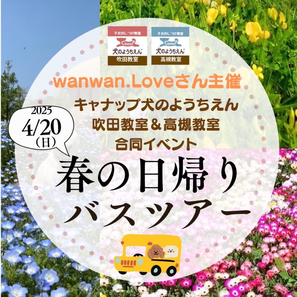 🌸春の日帰りバスツアー遠足のお知らせ🌸キャナップ犬のようちえん吹田教室＆高槻教室