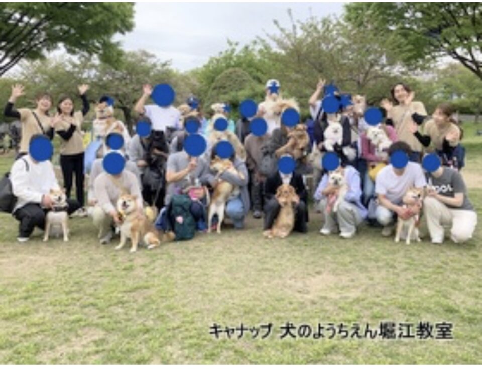 春の遠足イベント🌸八幡屋公園散歩🍀キャナップ犬のようちえん堀江教室