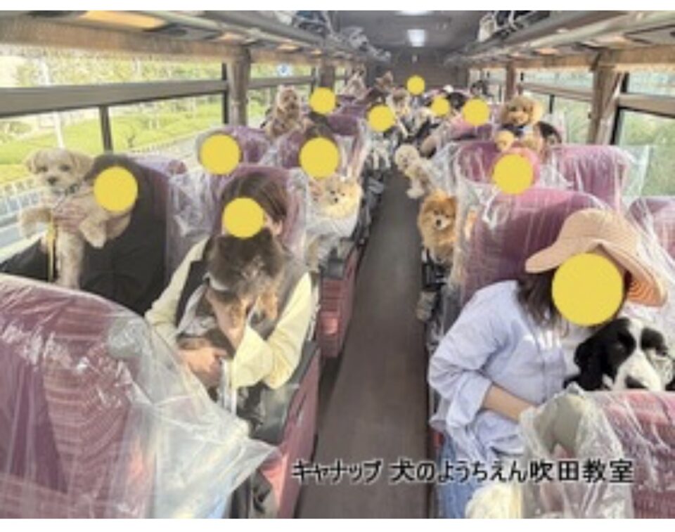 春の淡路島🌸合同バスツアー遠足🚌キャナップ犬のようちえん吹田教室&高槻教室