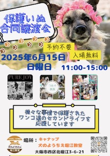 3団体さんの【保護いぬ合同譲渡会】開催のご案内🐶キャナップ犬のようちえん堀江教室
