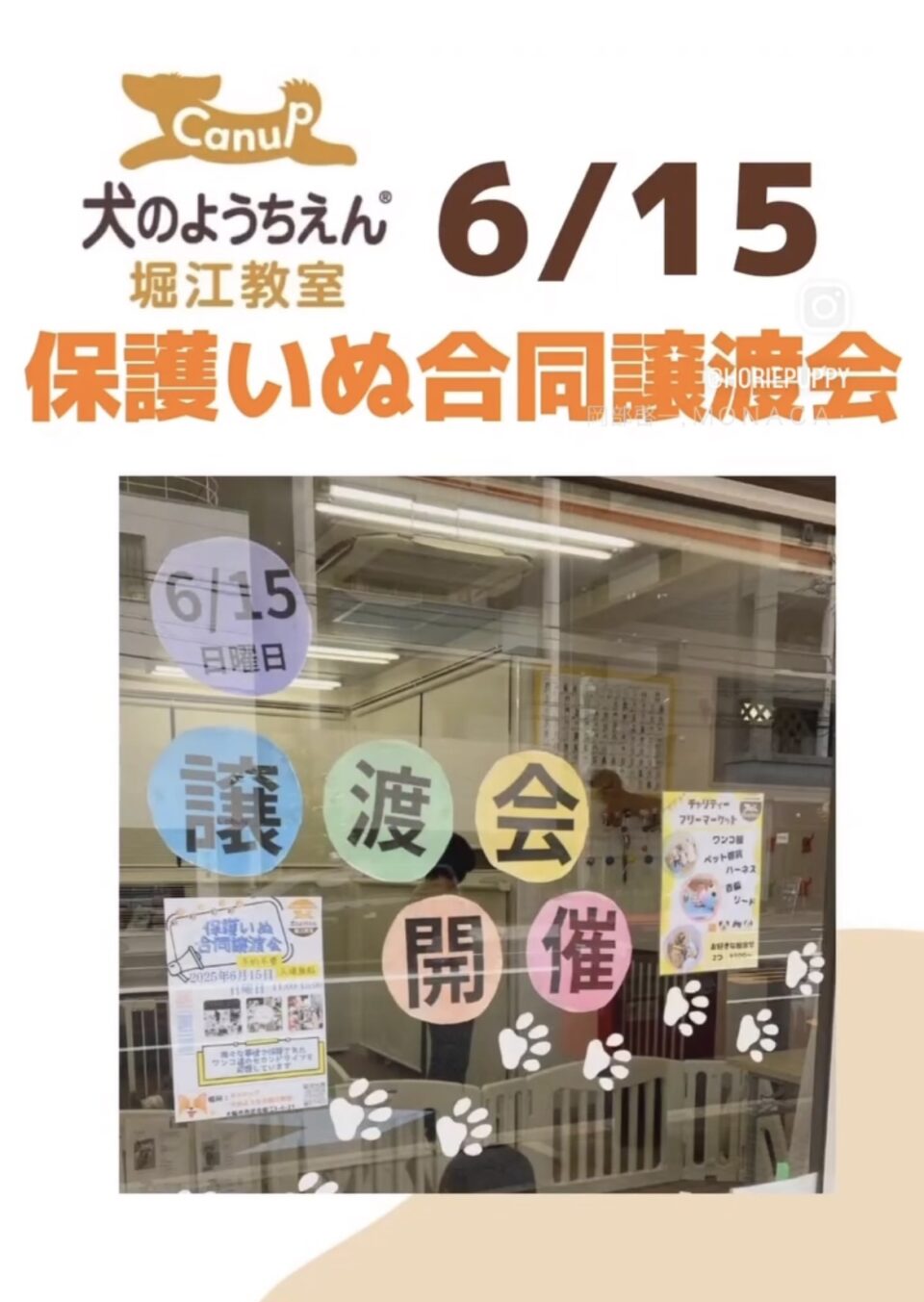 3団体さんの【保護いぬ合同譲渡会】を開催🐶♬キャナップ犬のようちえん堀江教室