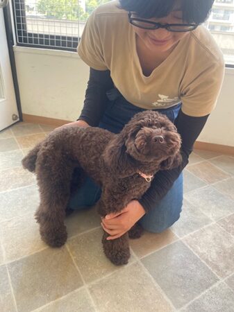 SNSでよく見る「咬みつき矯正トレーニング」の落とし穴⭐キャナップ犬のようちえん