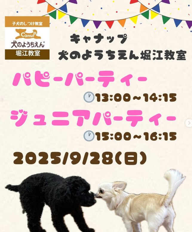 子犬と飼い主さまのパピーパーティー&ジュニアパーティー⭐キャナップ犬のようちえん堀江教室