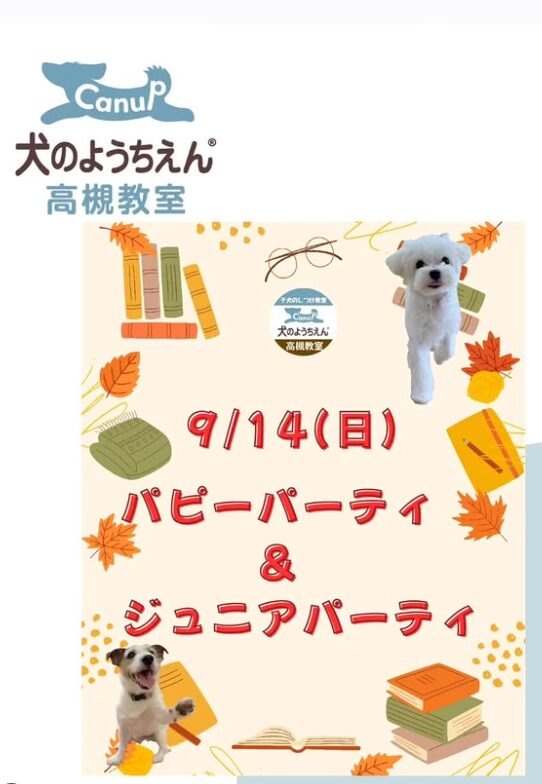 子犬と飼い主さまのパピーパーティー&ジュニアパーティー⭐キャナップ犬のようちえん高槻教室