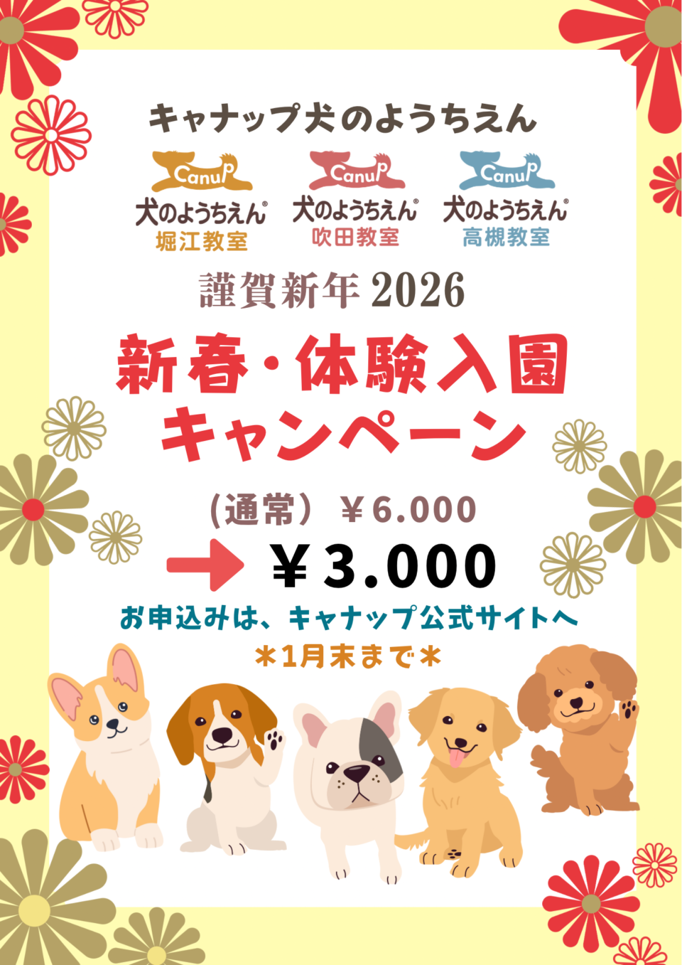 🎍新春🌟体験入園キャンペーン🎍キャナップ犬のようちえん
