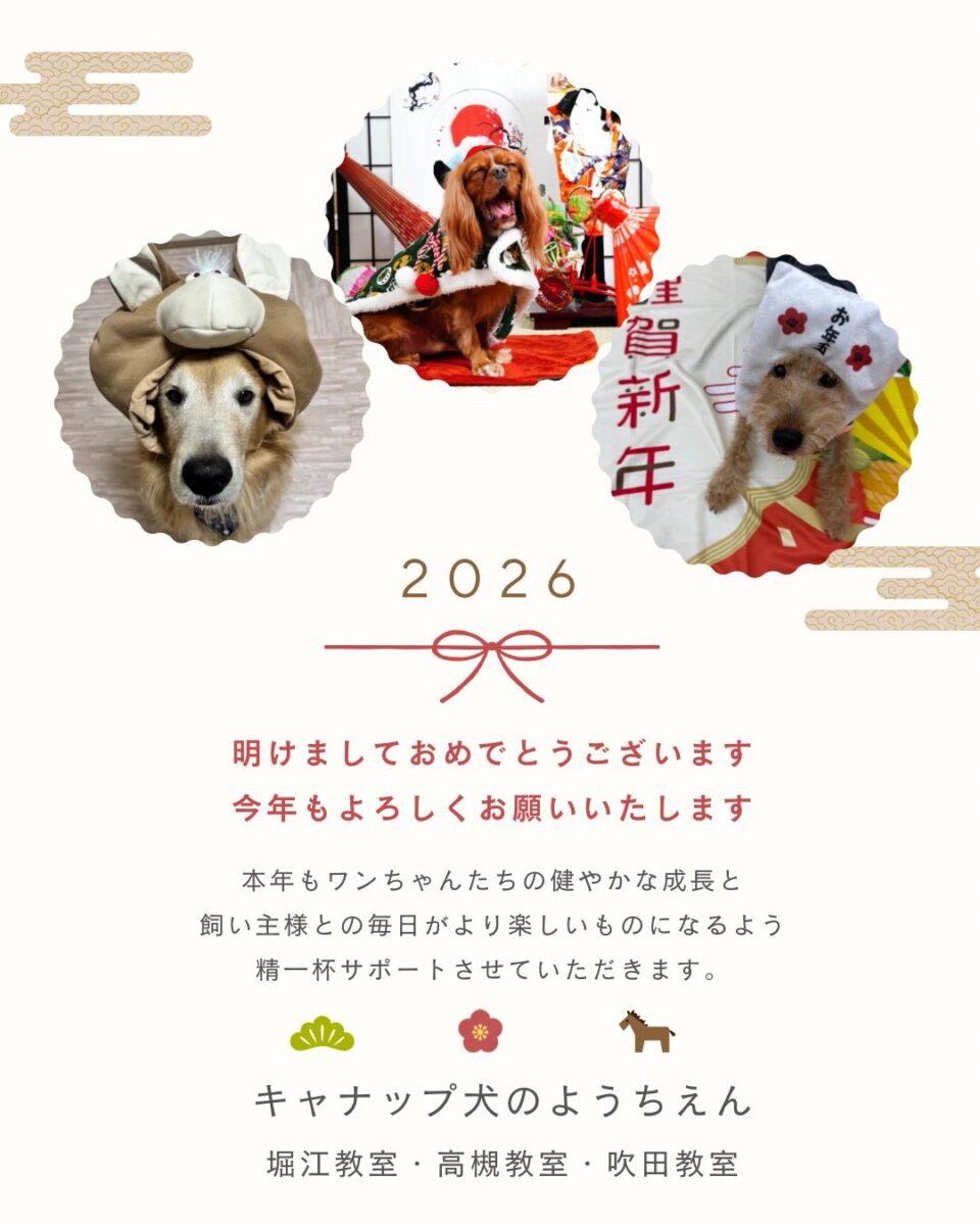 謹賀新年🎍2026年も最高のパートナーと最高に幸せな毎日を🌟キャナップ犬のようちえん