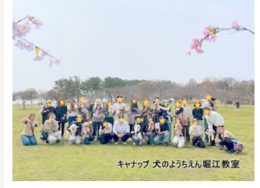 🌸飼い主さまと愛犬と春の遠足イベント🌸キャナップ犬のようちえん堀江教室