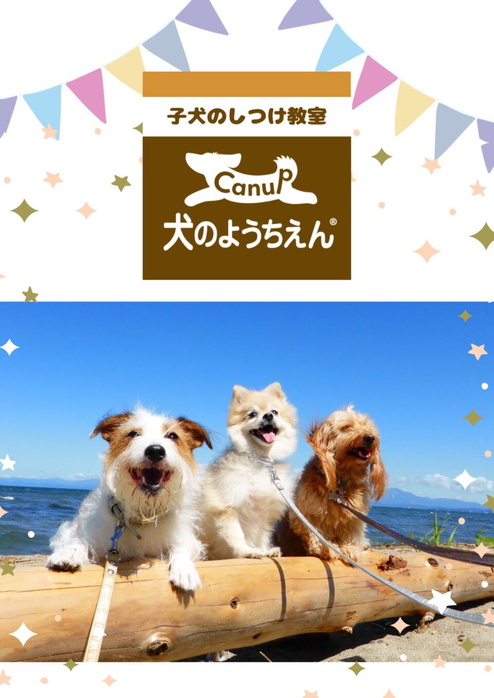 🐶子犬の早期入園割引🌱治すのではなく予防のしつけ⭐キャナップ犬のようちえん