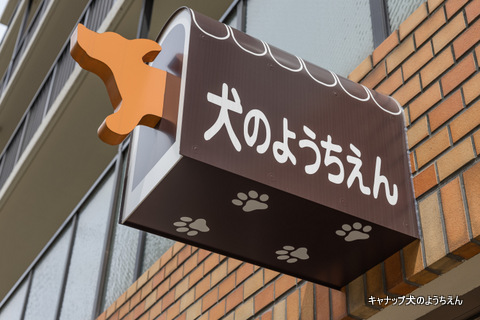 求人：ドッグトレーナー募集⭐キャナップ犬のようちえん