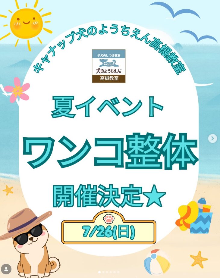 ワンコ整体イベント開催予定⭐キャナップ犬のようちえん高槻教室