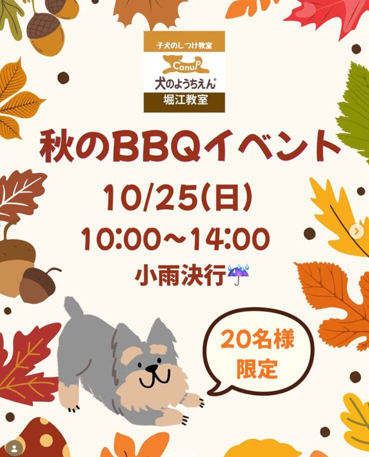 ようちえん生限定の『秋のBBQイベント』  開催予定🍂キャナップ犬のようちえん堀江教室