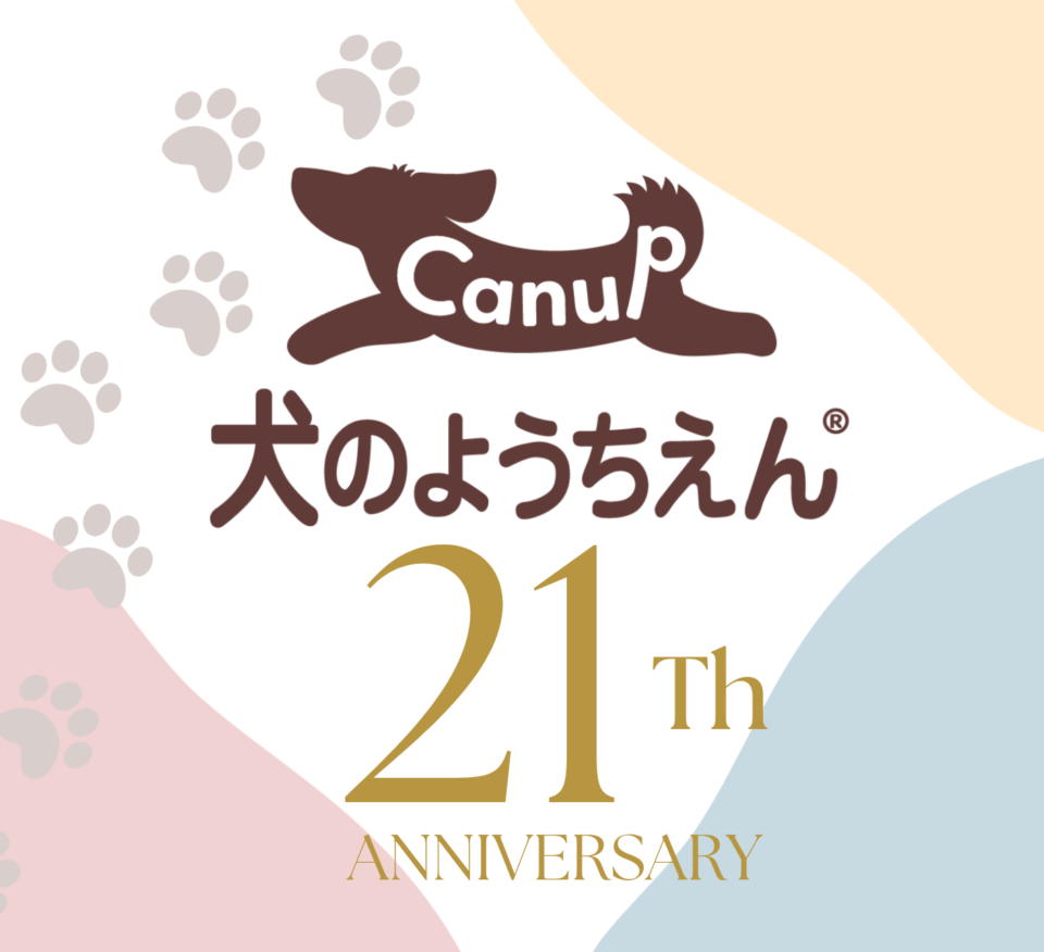 🍁２１周年記念⭐体験＆入園キャンペーン🍁キャナップ犬のようちえん堀江教室